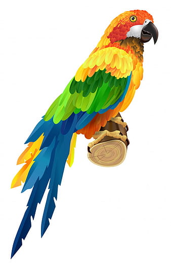 Hermoso loro colorido en ramita. Aves, fauna, vida silvestre. Concepto de trópicos. eps
