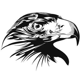 Águila detallada ai