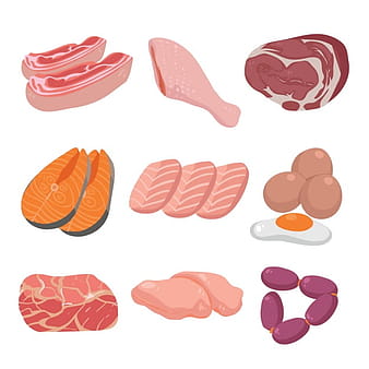 Coloured meat collection eps vector
