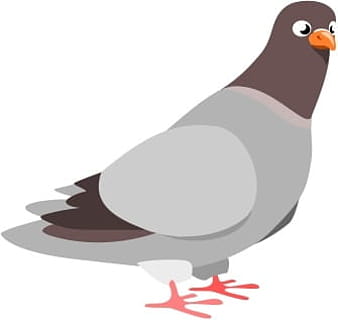 Pigeon svg vector