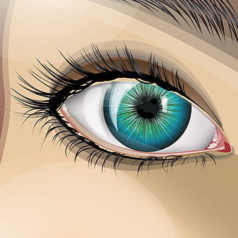 Beautiful eyes vector graphic eps