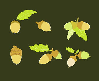 Acorn Illustration Vector svg ai