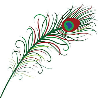Peacock Feather ai vector