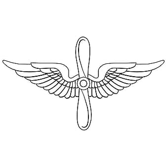 aviation emblem in us army eps vector