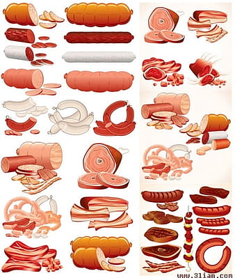 Meat sausage vector eps