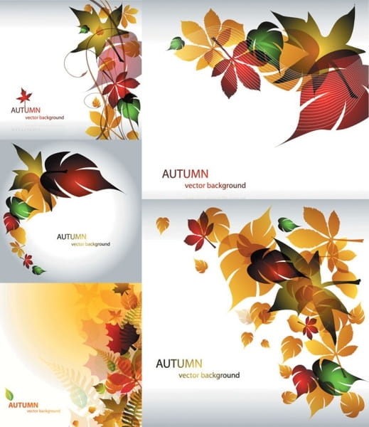 Maple leaf theme vector eps