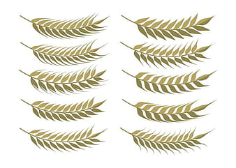 Wheat Ears Set eps svg vector