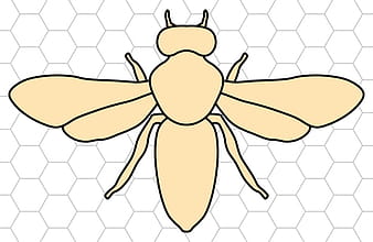 Hummel mit Wabenhintergrund svg ai