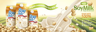 Vecteur de publicité de lait de soja biologique eps
