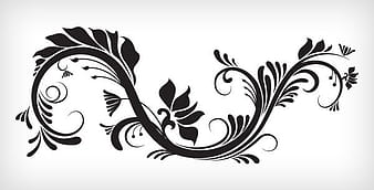 Ornamento decorativo del vector eps svg ai