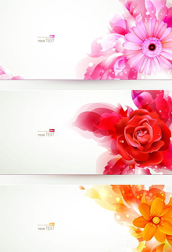 3 Kind flower banners vector material eps