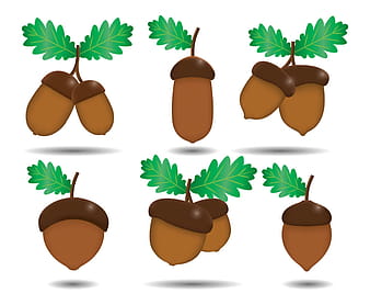 Acorn Vector svg eps