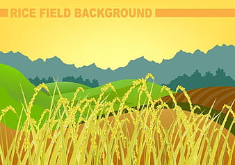 Rice Field Background Vector ai