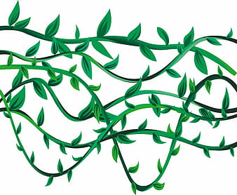 Leaf Pattern Vector