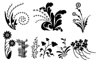 Vector silueta hojas en blanco y negro eps