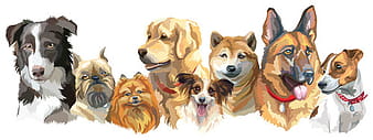 Dog portrait vector ai