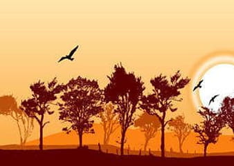 Forest Landscape ai vector