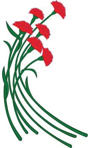 Carnation Flower Gvozdika 2 ai vector