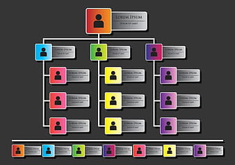 Org Chart Infographics svg eps vector