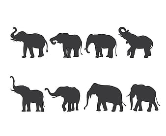 Elephant Silhouette Set eps vector