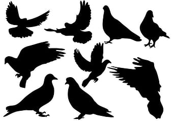 Free Pigeon Silhouette Vector ai