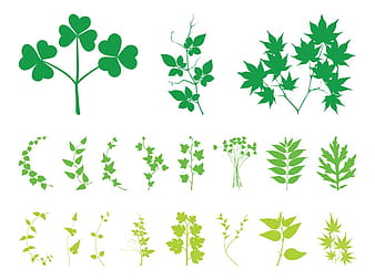 Plant Leaves And Branches ai vector