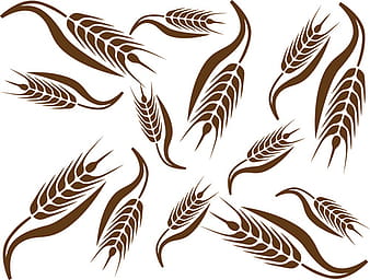 Set of wheat patterns mix vector eps