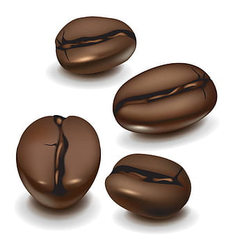 realistic coffee beans design vector eps