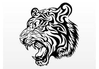 Gráfico vectorial de cabeza de tigre ai