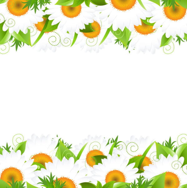 Sunflower elements background vector eps