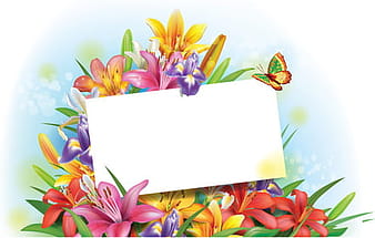 Beautiful lilies art background design eps vector