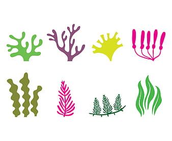 Icono de algas svg eps