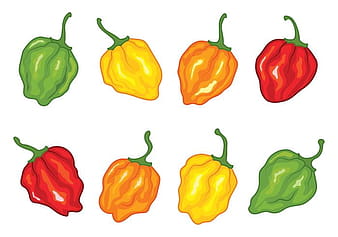 Habanero Papper Vectors Pack eps svg