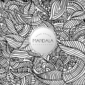 Hand Drawn Black and White Floral Mandala Pattern Background eps vector