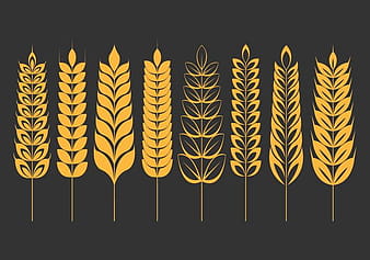 Wheat Ears Icons Set svg eps vector