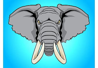 Elephant Head ai vector