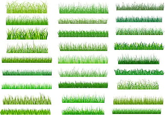 Spring grass borders vector set eps