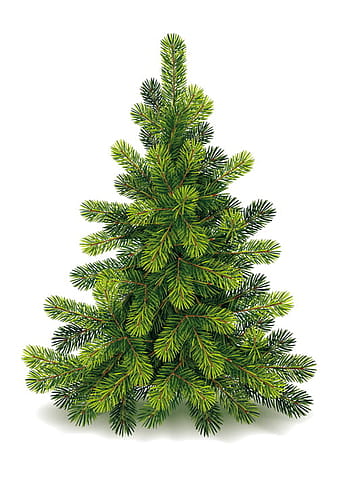 Christmas green fir-tree vector material  eps