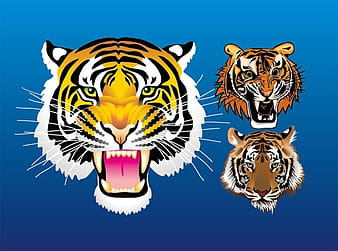3 tiger head vector eps