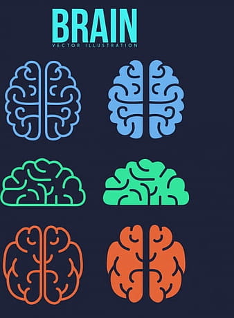 Colección de iconos de cerebro colores formas planas ai eps
