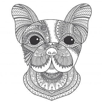 Hand drawn dog head background eps vector