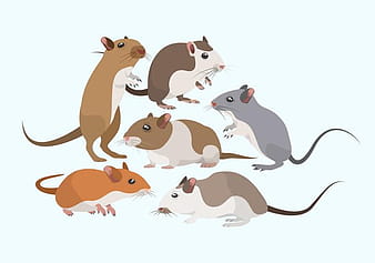 Maus Nagetiere Vektorsammlung ai svg