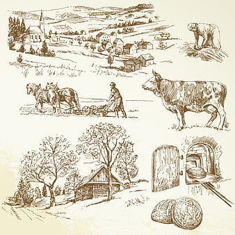 Hand drawn agriculture elements vector eps