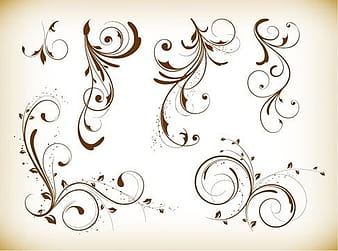 Ornamento Desgin Remolino Elementos florales eps