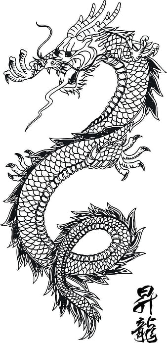 Dragons eps vector