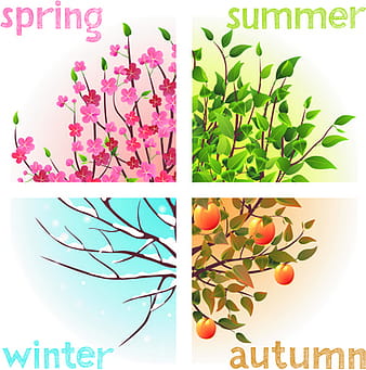 Tree with four seasons vector eps