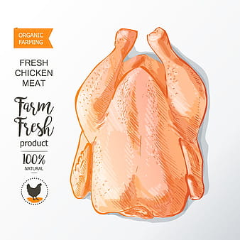 Farn fresh chicken meat poster vector  eps