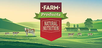 Green farm with healthy product vector  eps