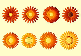 Calendula Free Vector svg eps