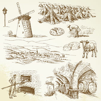 Vector de elementos de agricultura dibujados a mano eps